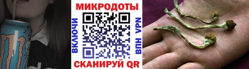 Купить  Тулун  Псилоцибиновые грибы Psilocybine cubensis 